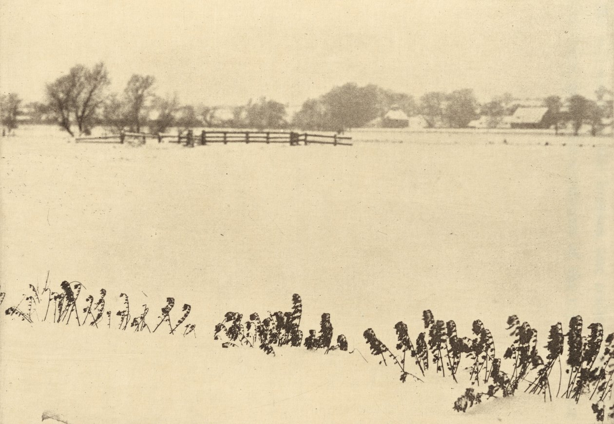 Erbacce di palude da Peter Henry Emerson