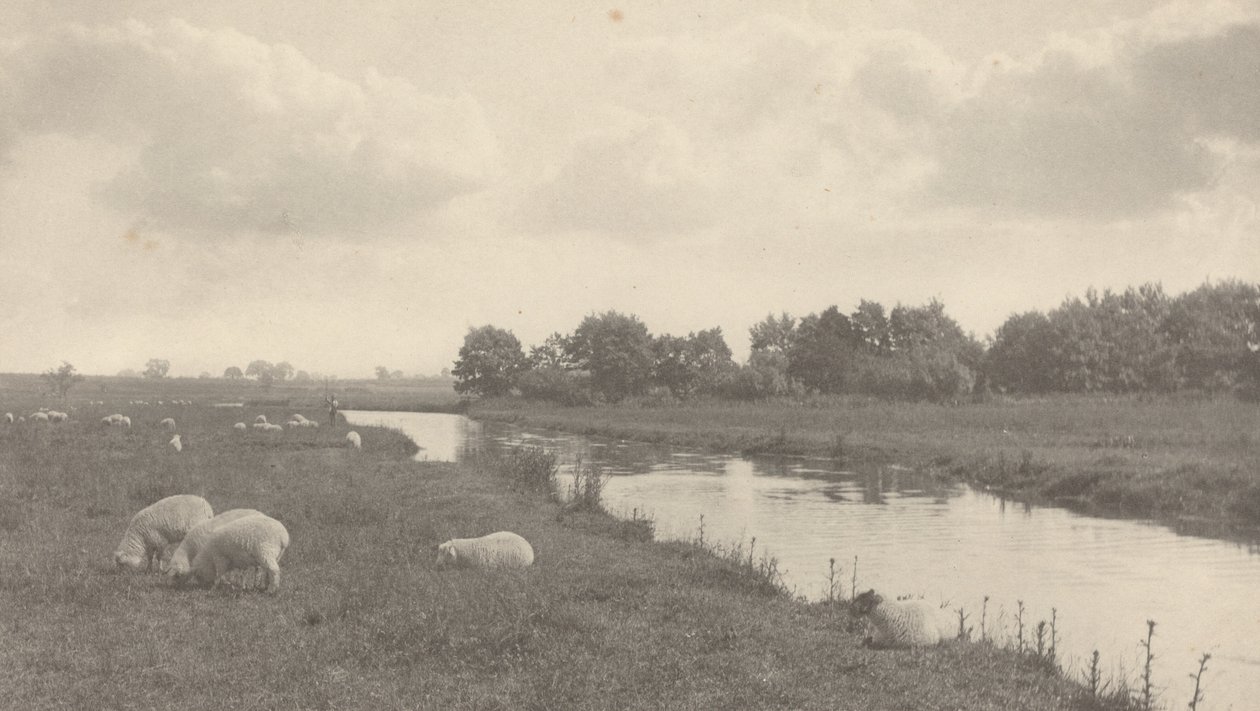 Sul Fiume Bure da Peter Henry Emerson