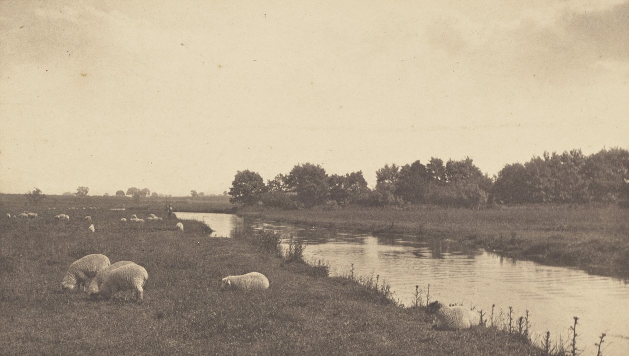 Sul fiume Bure da Peter Henry Emerson