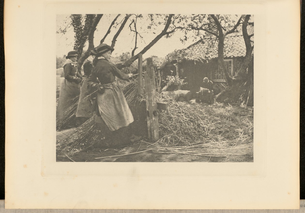 ViminiPeeling. [Norfolk]. da Peter Henry Emerson