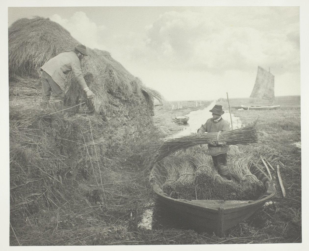 Raccogliendo la canna da Peter Henry Emerson