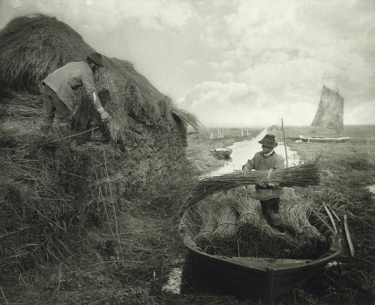 Raccogliendo la canna, c.1885 da Peter Henry Emerson