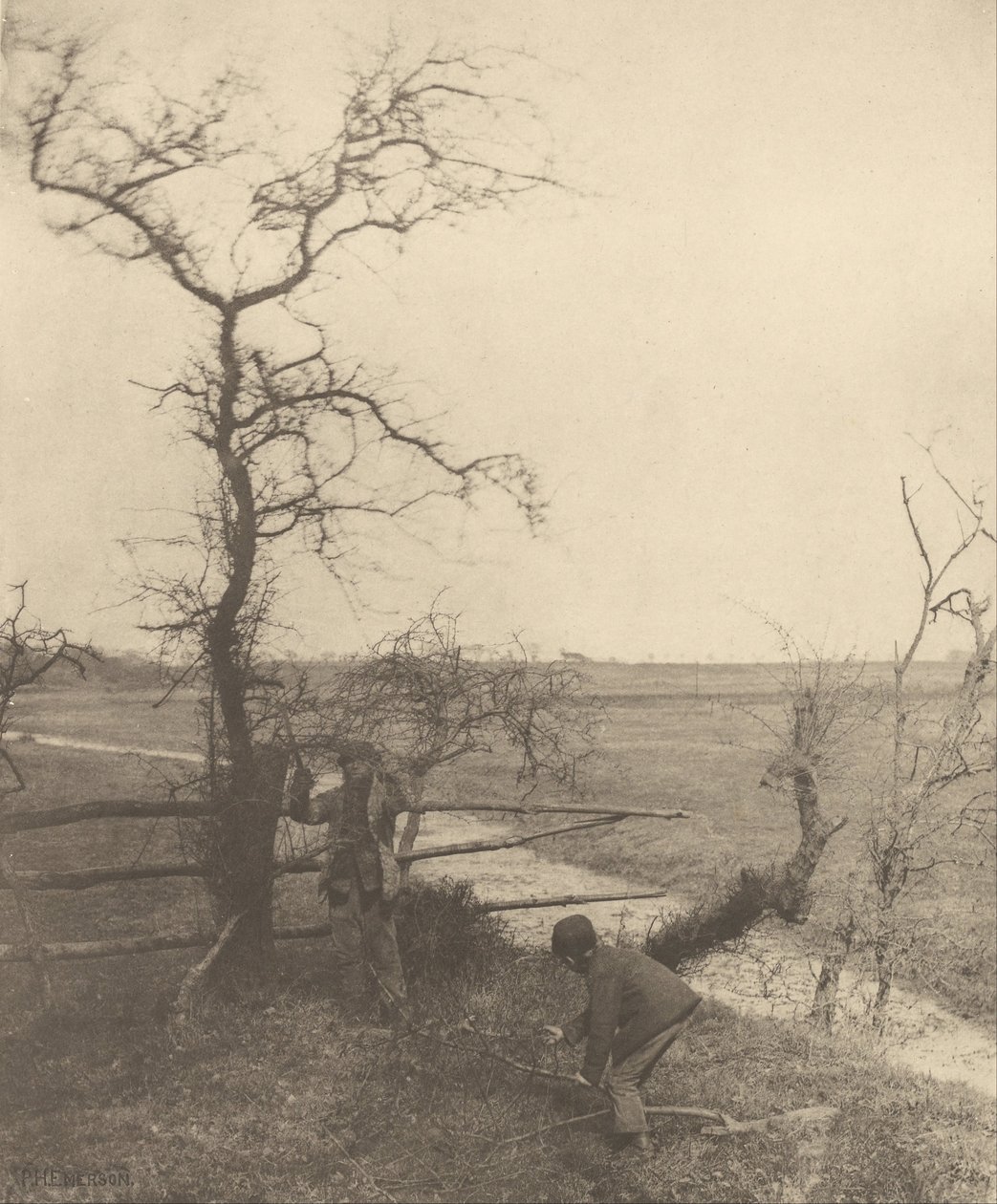 I tagliatori di rami da Peter Henry Emerson