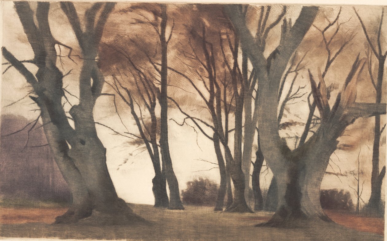 Faggi a Ermelunden da Peter Vilhelm Ilsted