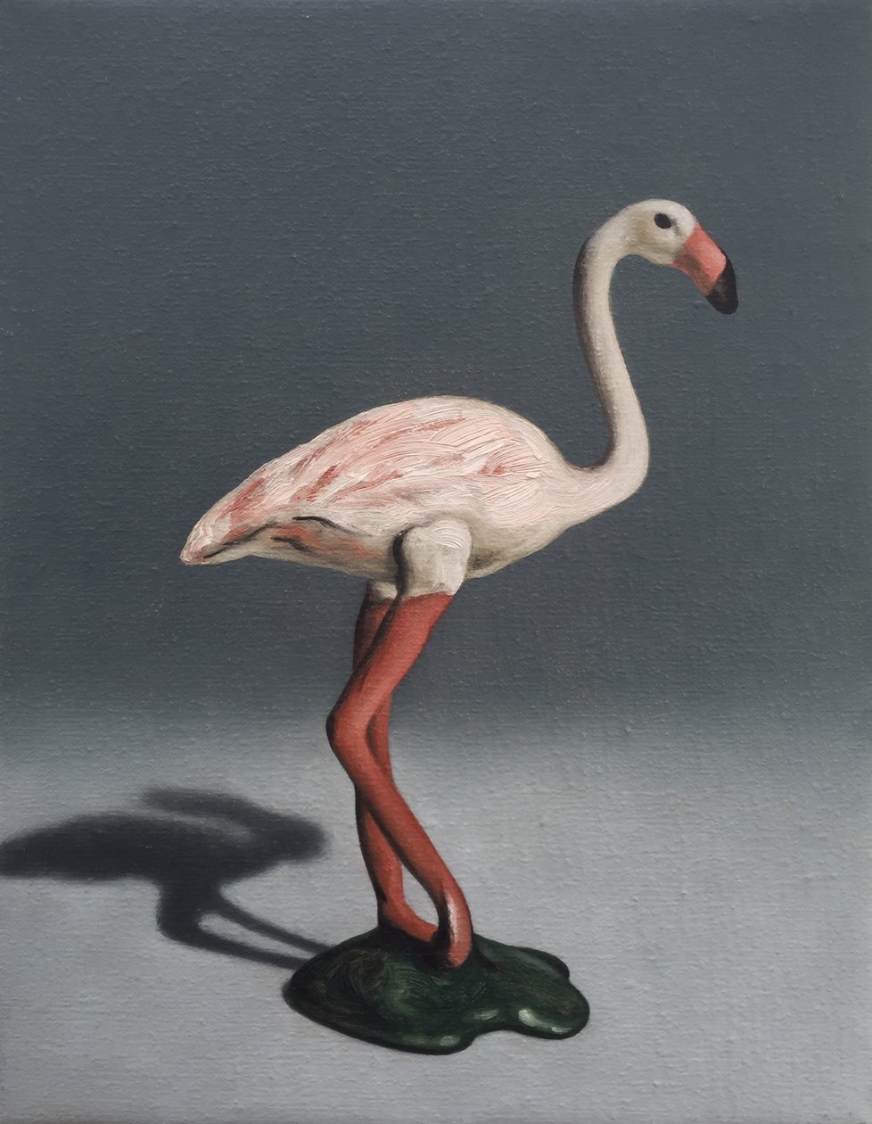 Fenicottero rosa, 2014 da Peter Jones