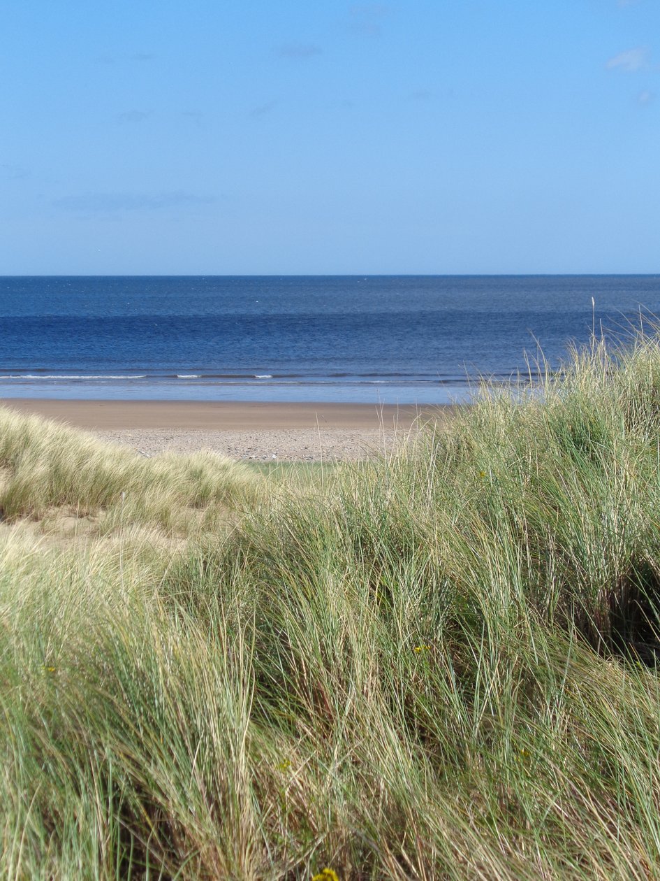 Costa di Durham n.1, 2015 da Peter McClure