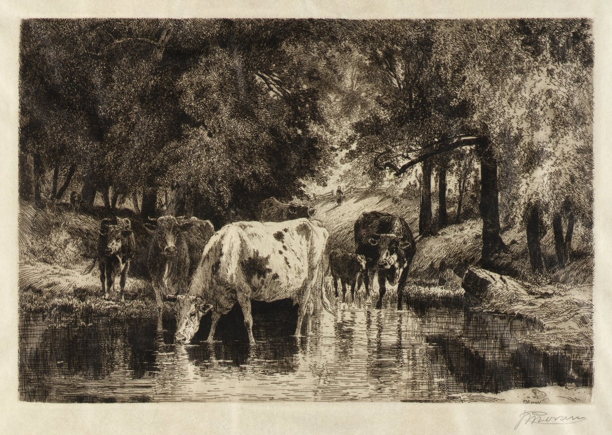 La piscina da Peter Moran