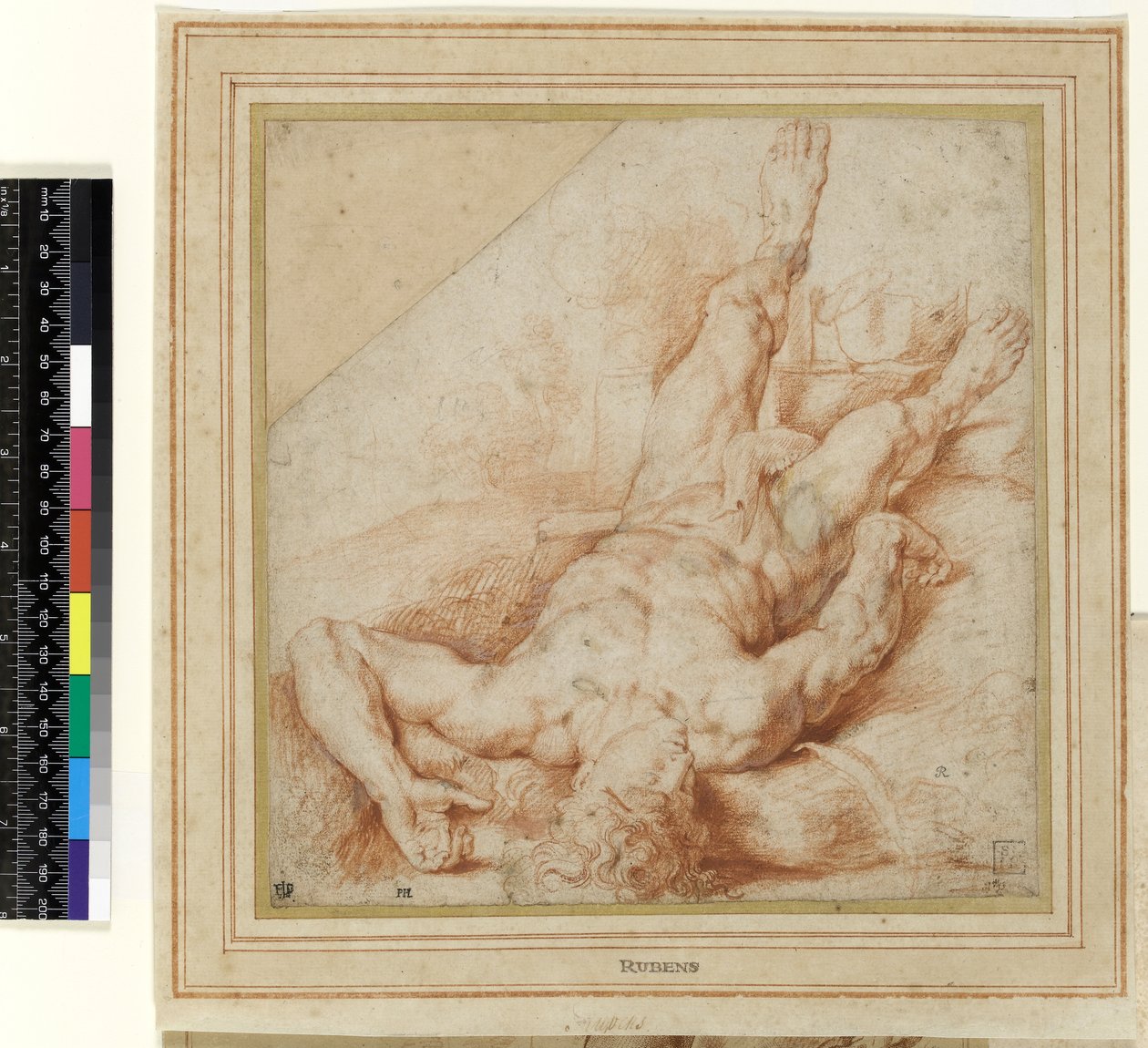 Abele ucciso da Caino da Peter Paul Rubens