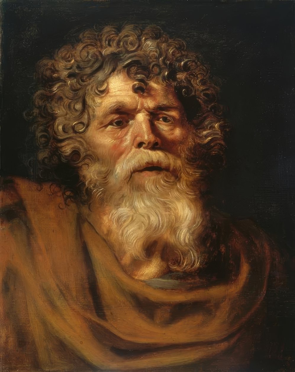 Ritratto di un vecchio barbuto da Peter Paul Rubens