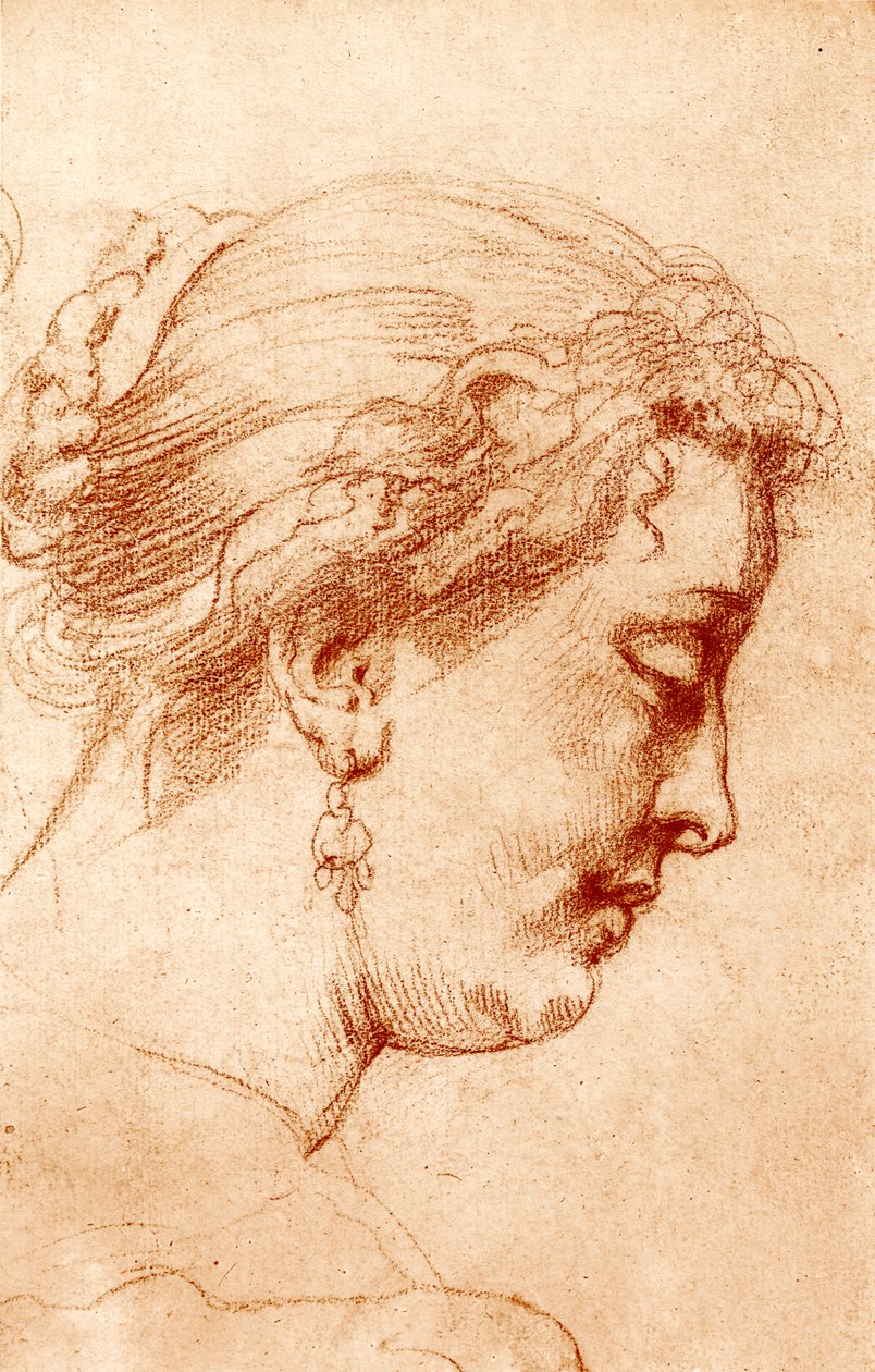 Profilo di testa femminile da Peter Paul Rubens