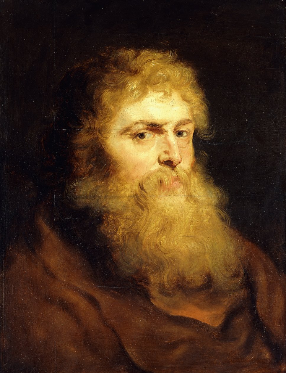 Testa di un uomo barbuto da Peter Paul Rubens