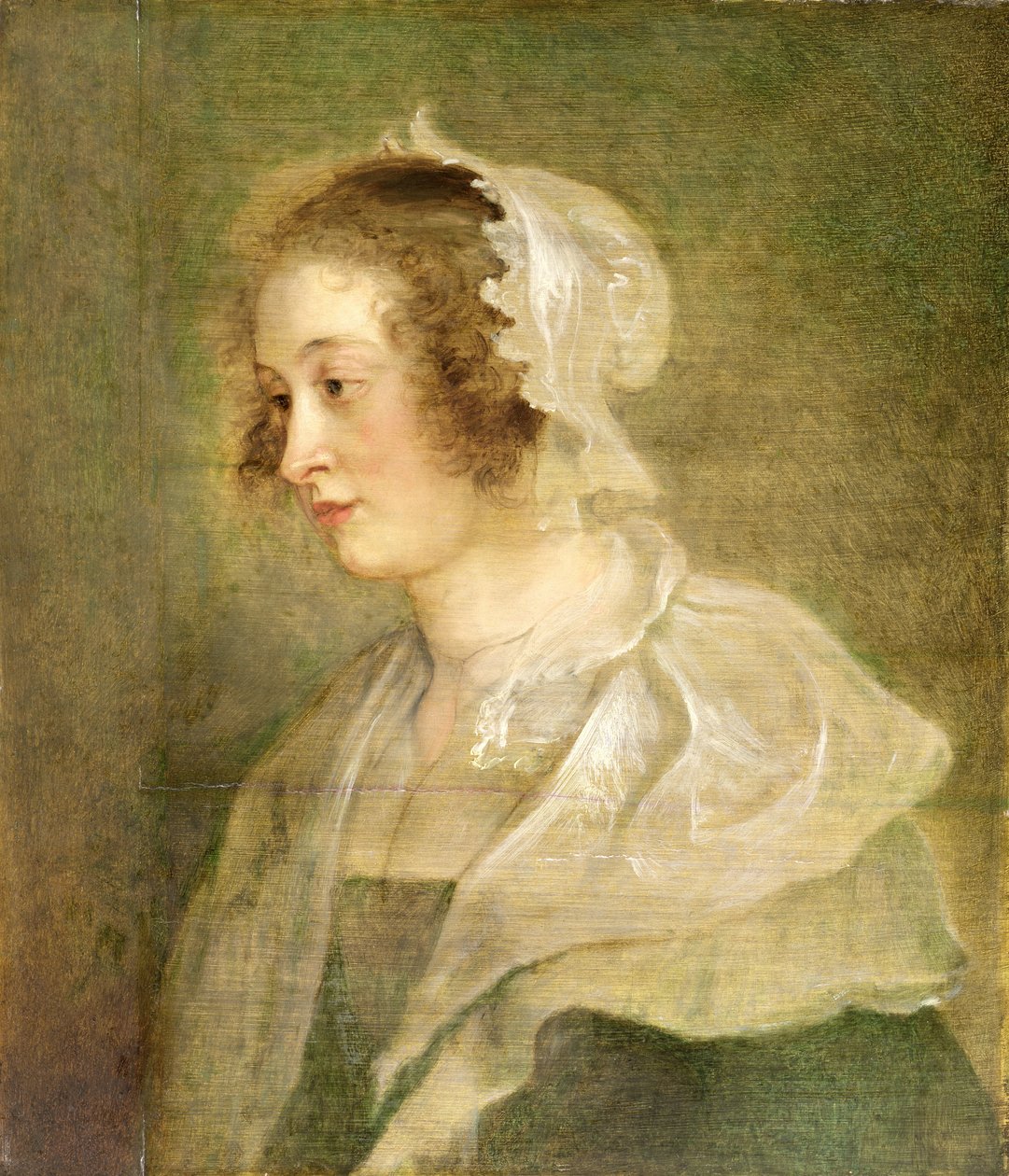 Testa di una giovane donna da Peter Paul Rubens