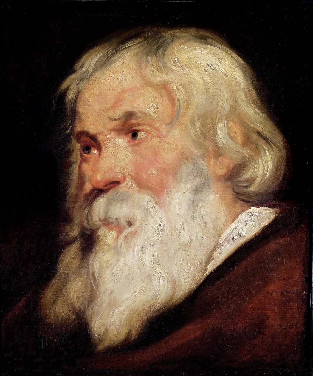 Testa di un vecchio da Peter Paul Rubens