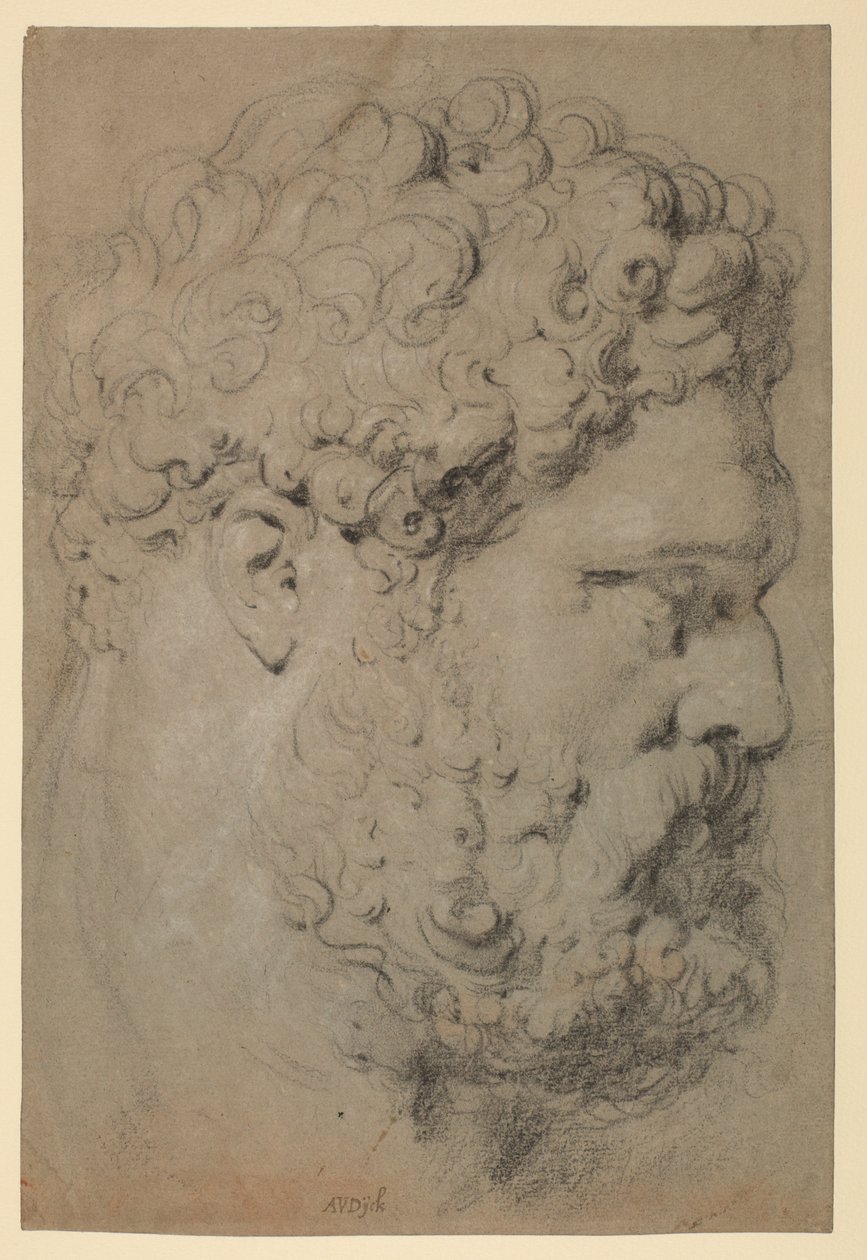 Testa dell