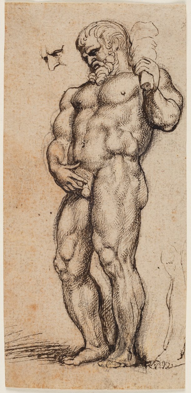 Ercole da Peter Paul Rubens