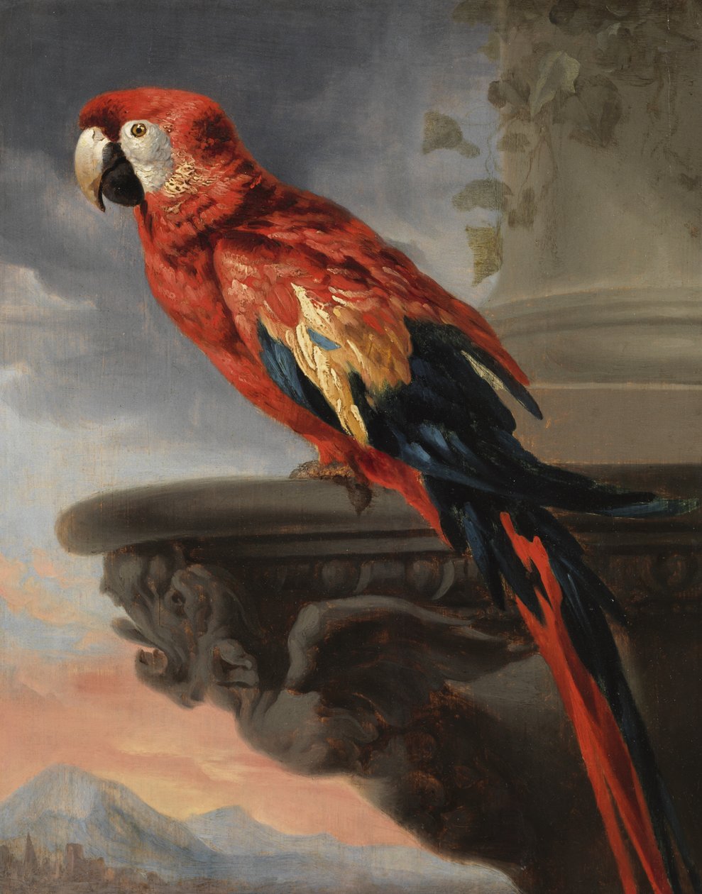Pappagallo, c.1630-40 da Peter Paul Rubens