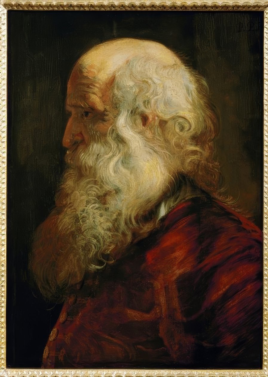 Testa di studio di un vecchio da Peter Paul Rubens