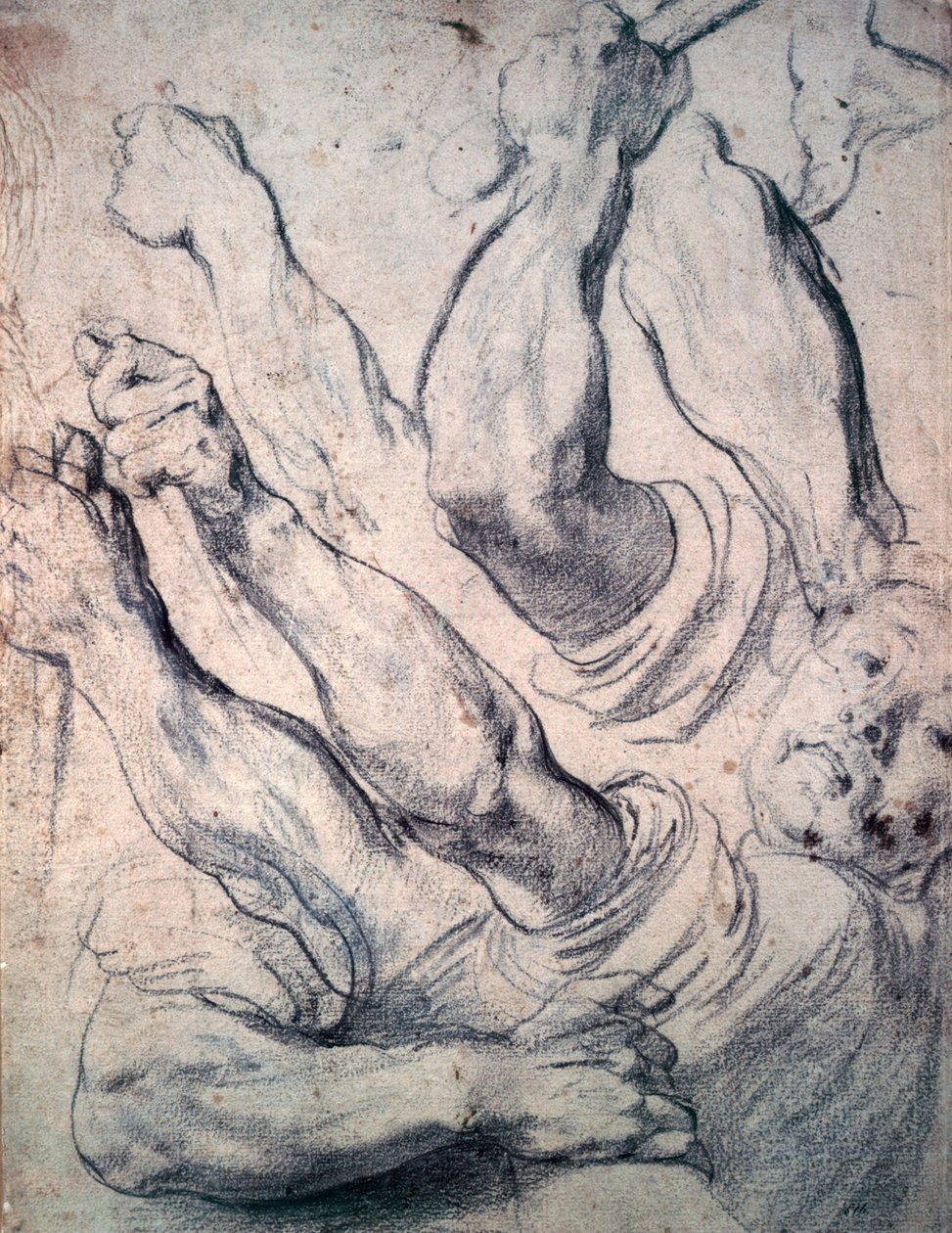 Immagine sconosciuta da Peter Paul Rubens