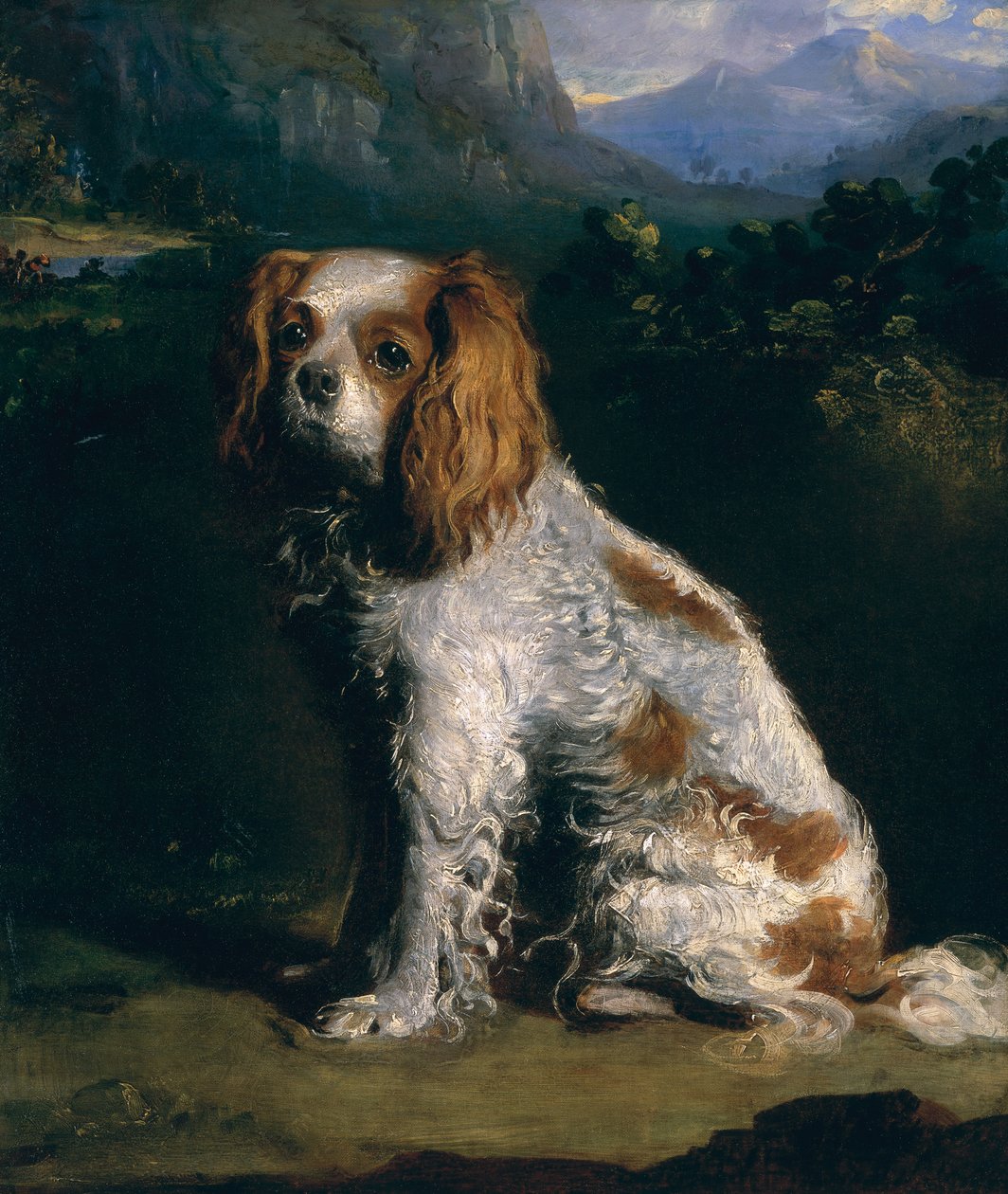 Un cane di razza King Charles Spaniel da Philip Reinagle