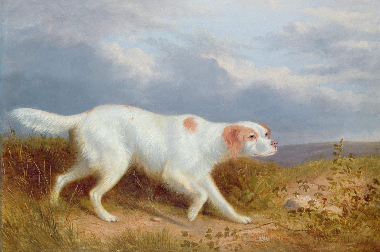 Un setter sulla brughiera da Philip Reinagle
