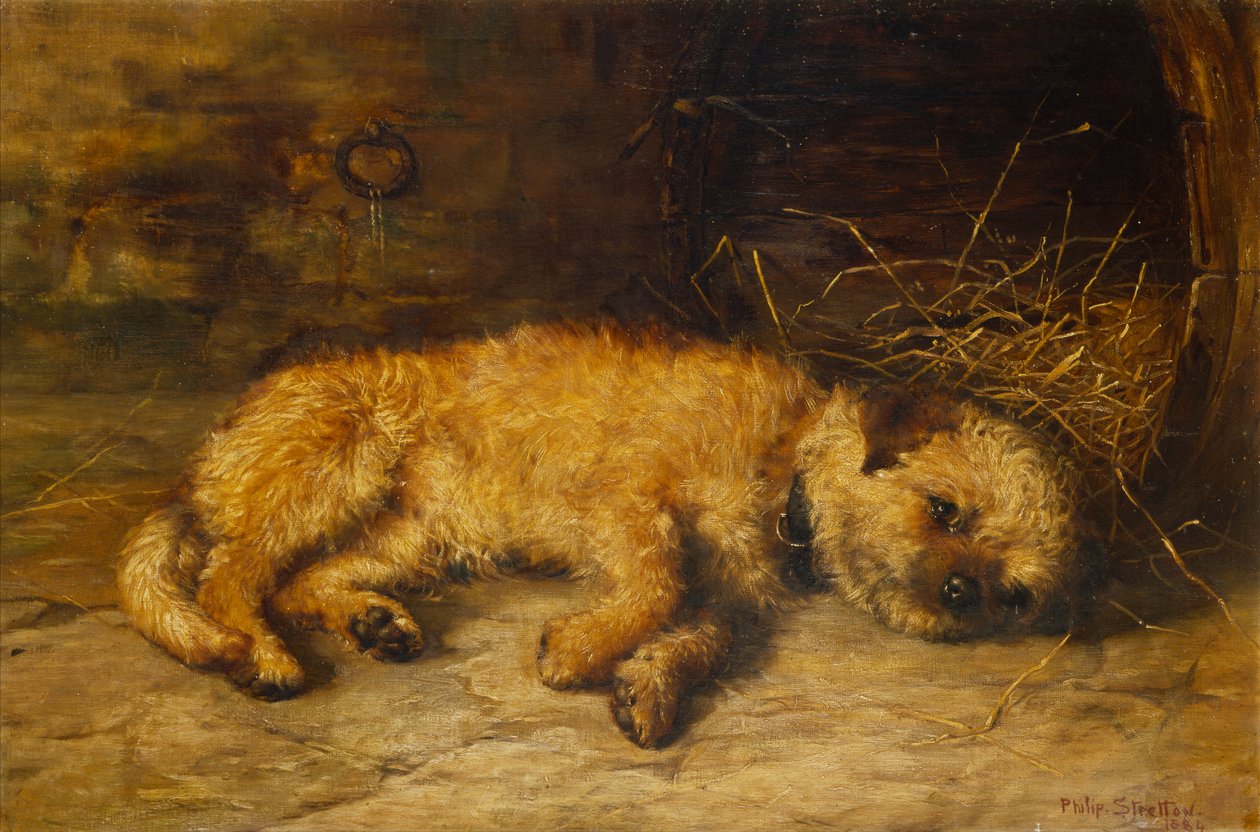Un Cucciolo di Border Terrier da Philip Eustace Stretton