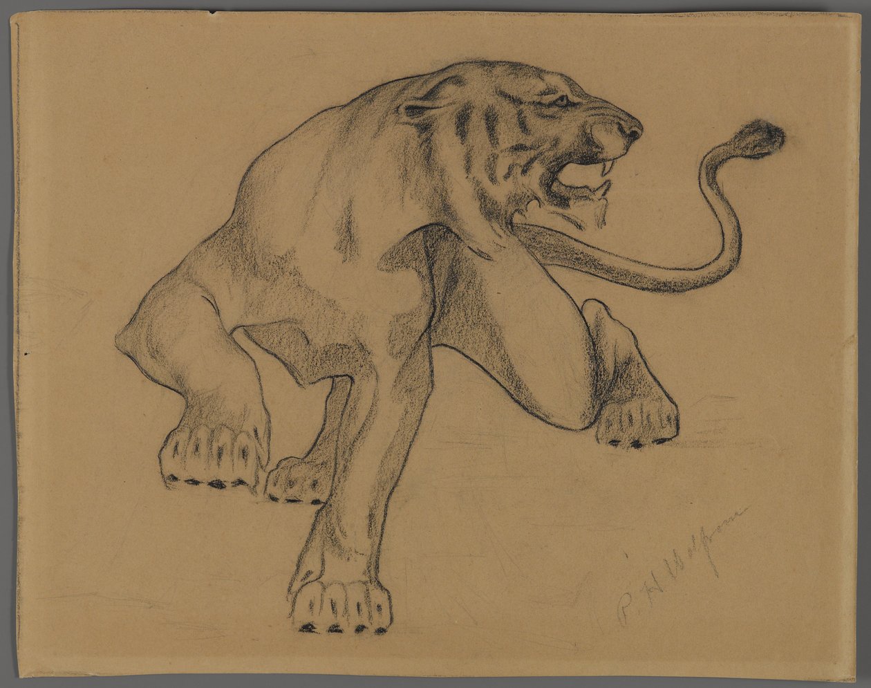 Tigre da Philip H. Wolfrom