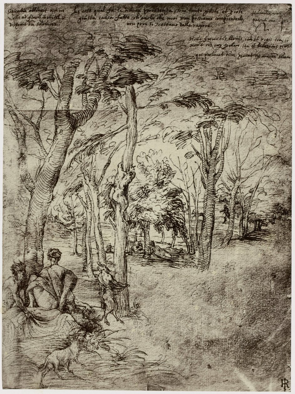 Tiziano, Disegno per un quadro da Philip Henry Delamotte