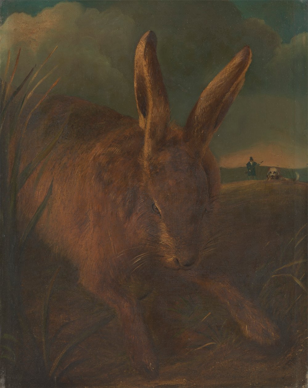 Caccia alla lepre da Philip Reinagle