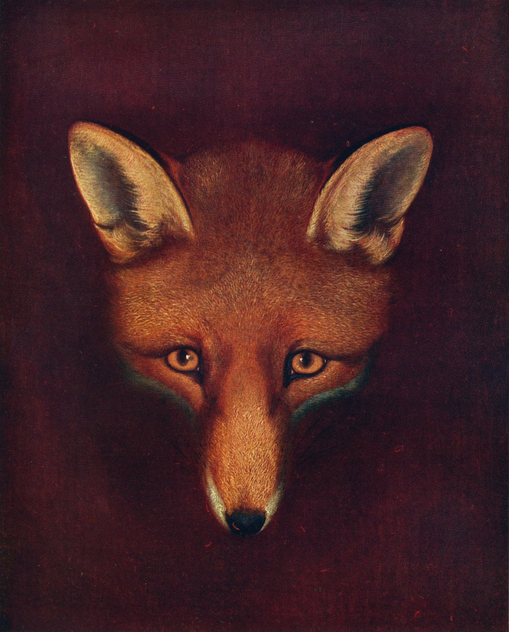 Renard la Volpe, c1800, 1922 da Philip Reinagle