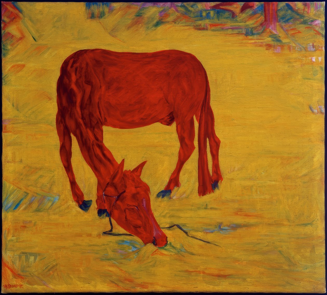 Cavallo in libertà da Philipp Bauknecht