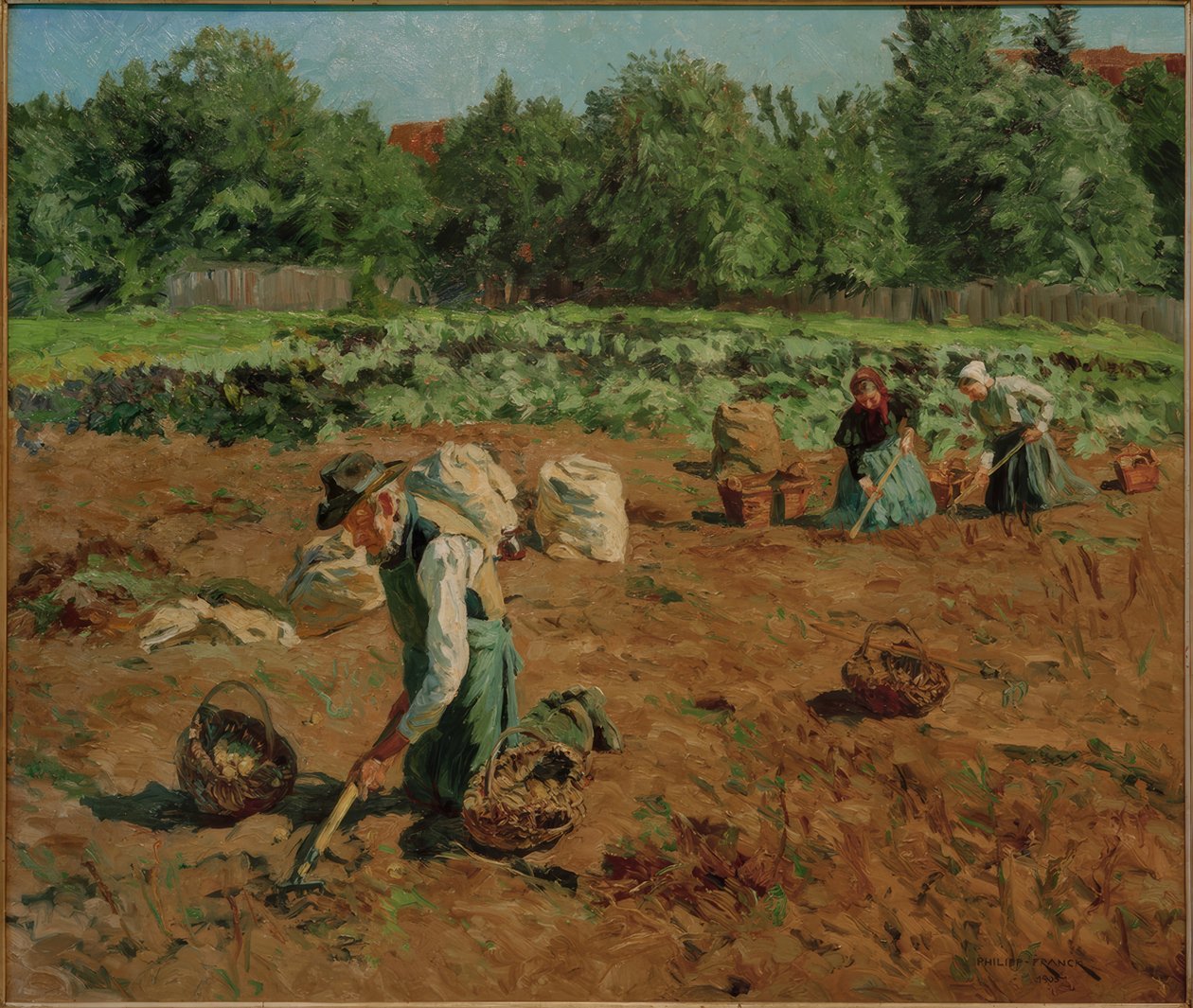 Raccolta delle patate da Philipp Franck
