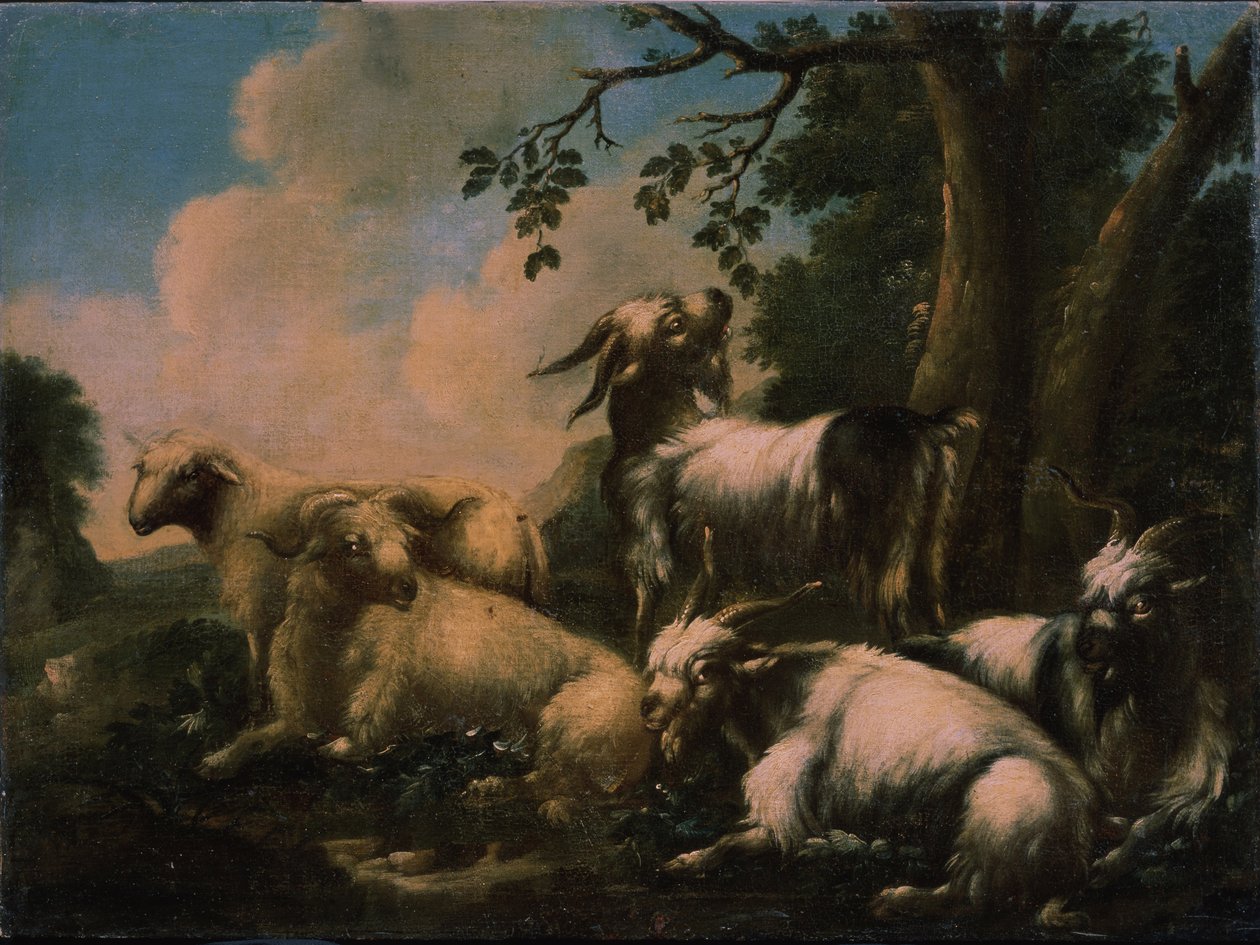 Riposo del gregge da Philipp Peter Roos