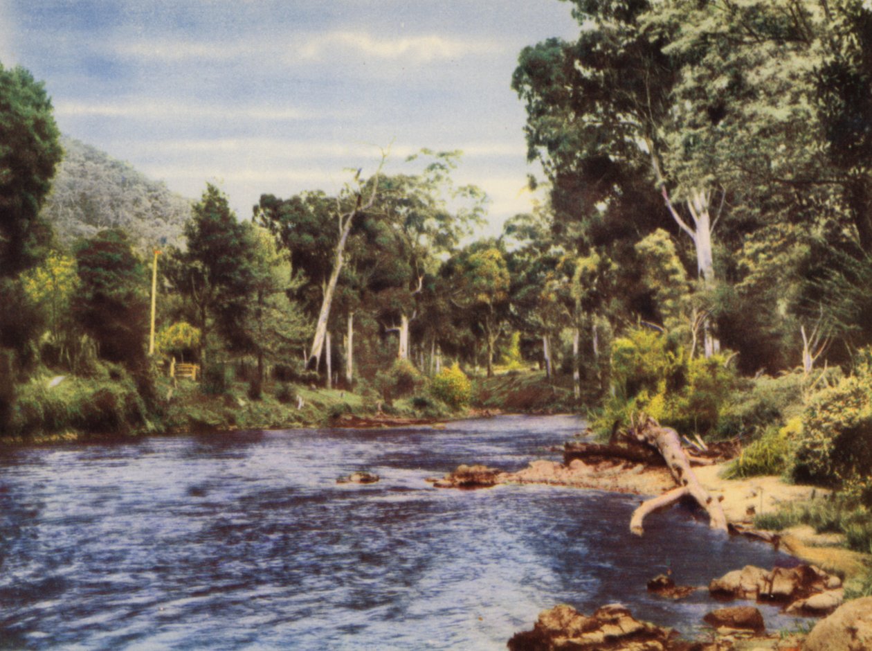 Fiume Yarra da Photographer Australian