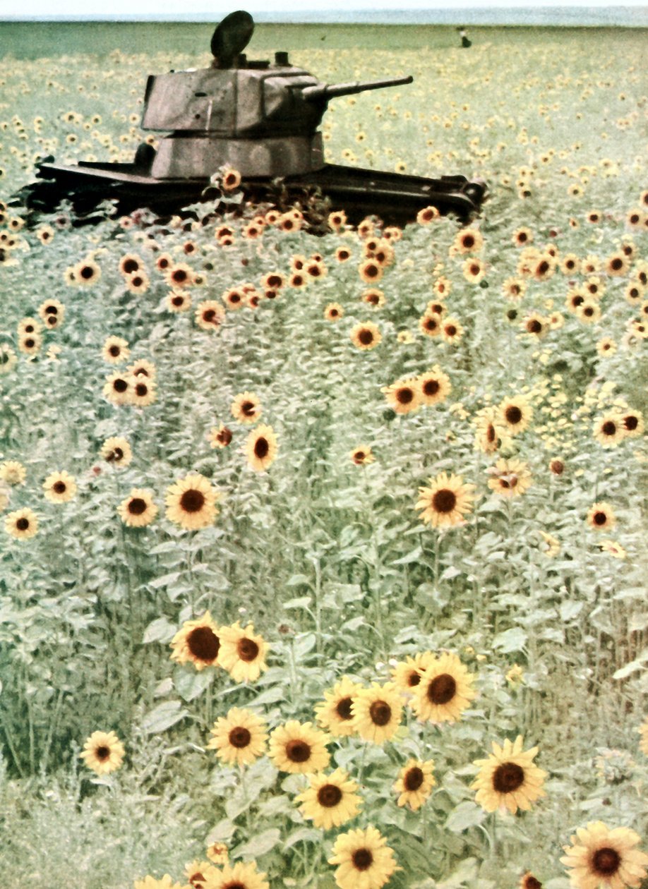 Operazione Barbarossa da Photographer German