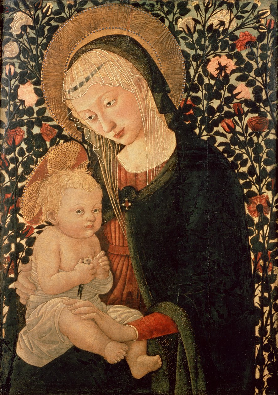 Immagine sconosciuta da Pier Francesco Fiorentino