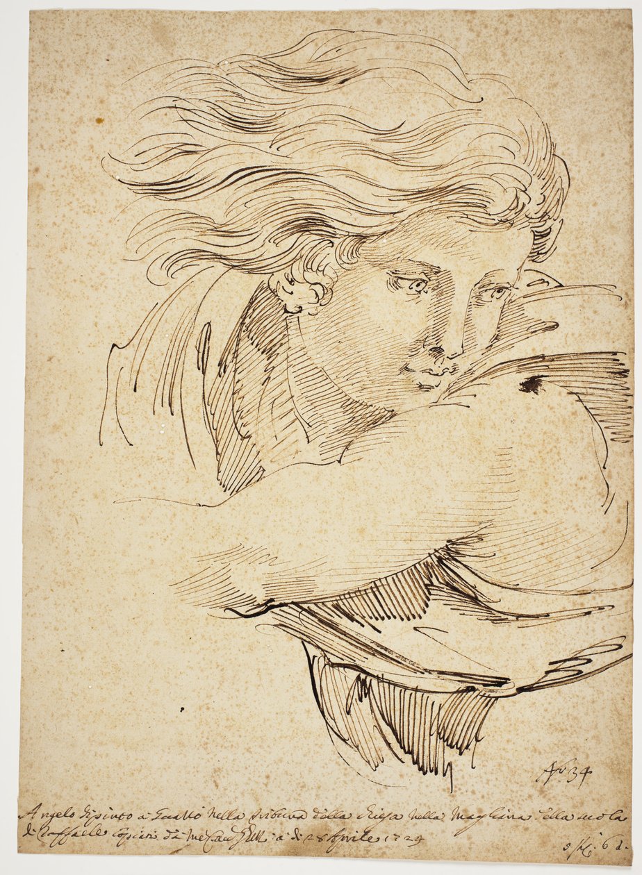 Testa di un angelo; dopo Raffaello da Pier Leone Ghezzi