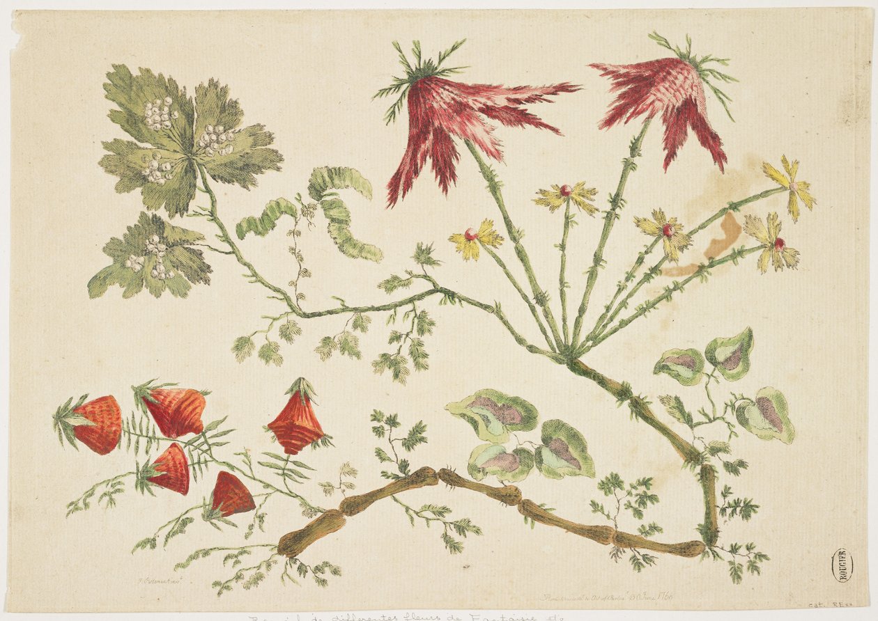 Ornamento, Chinoiserie, Fiori, 30 giugno 1760 da Pierre Charles Canot