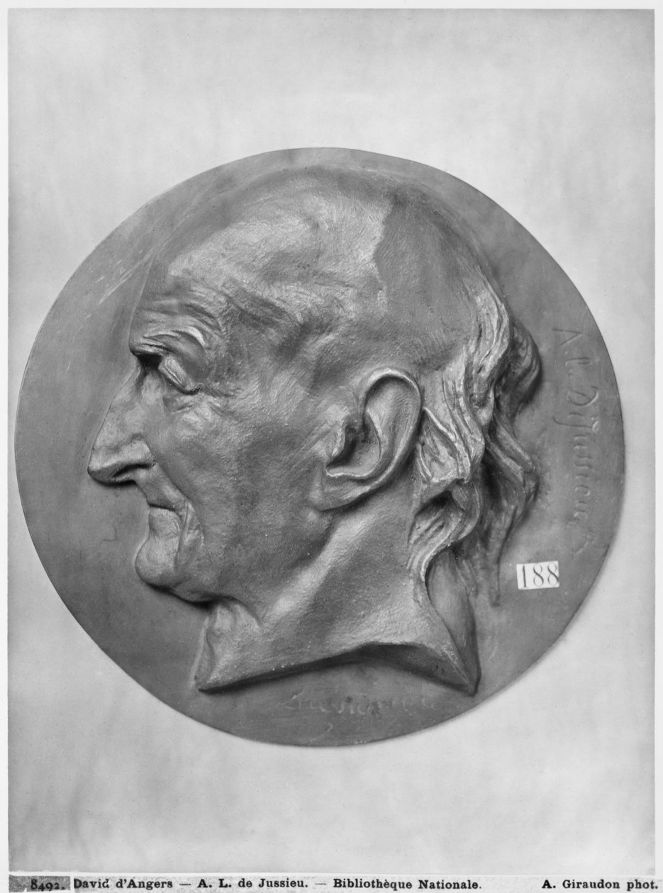 Antoine Laurent de Jussieu da Pierre Jean David d