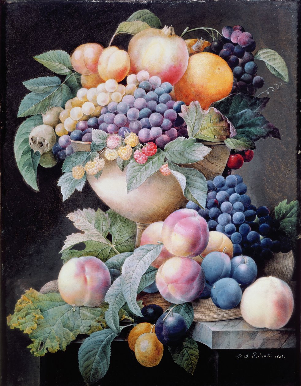 Frutti da Pierre Joseph Redouté