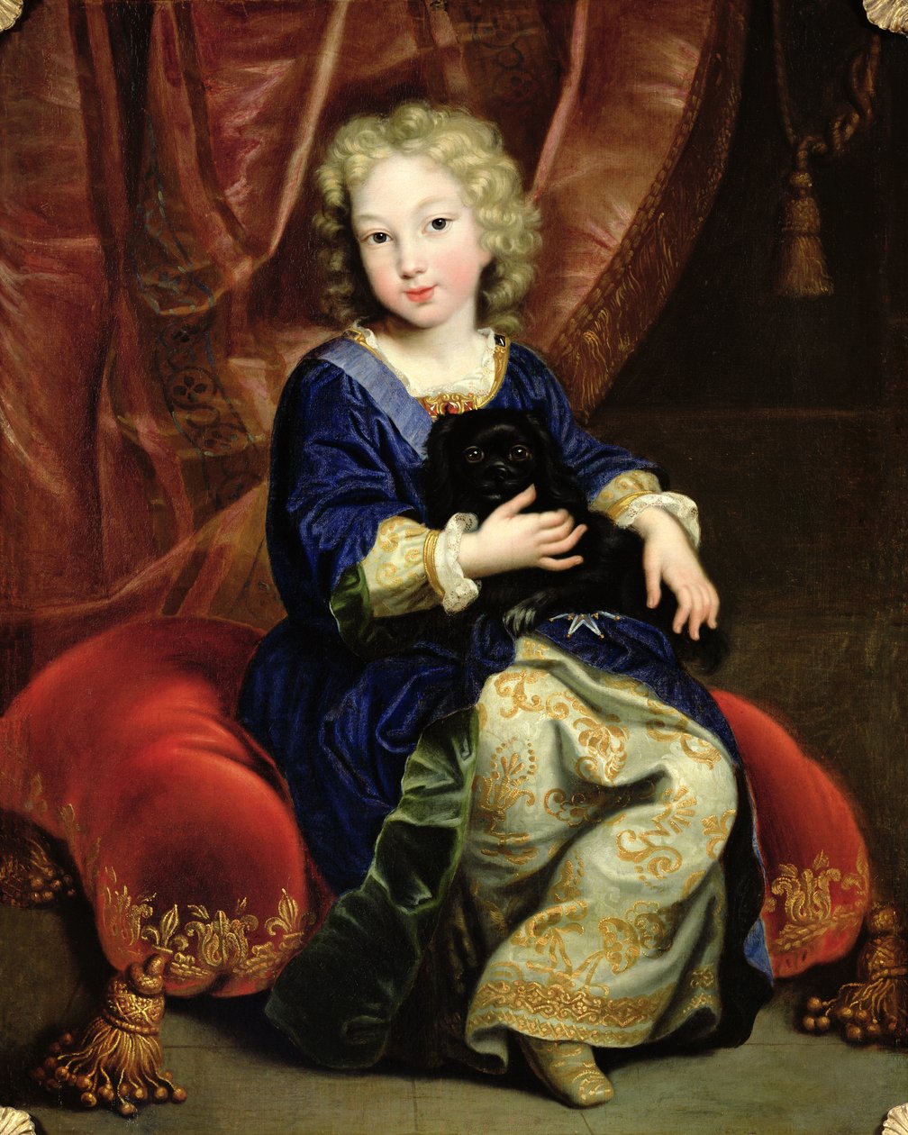 Ritratto di Filippo di Francia, futuro Re Filippo V di Spagna, 1686 da Pierre Mignard