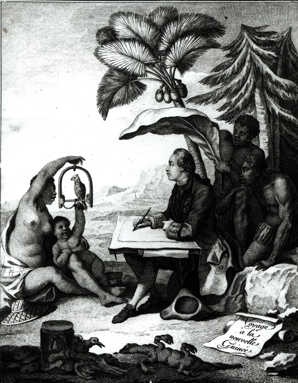 Pierre Sonnerat che disegna un uccello, da 