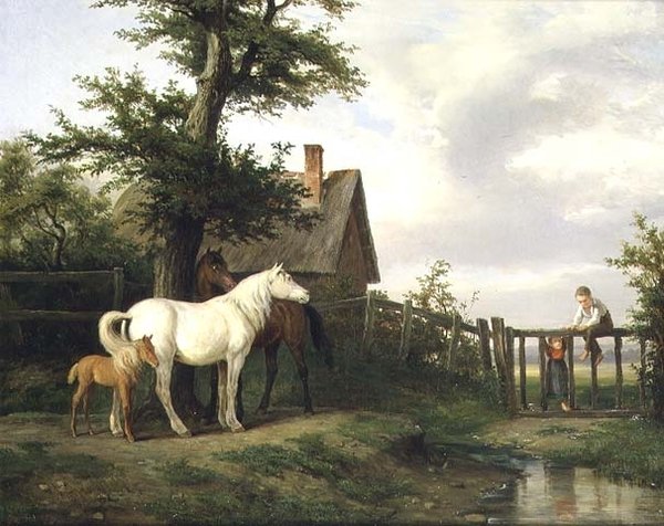 Immagine sconosciuta da Pierre Vernet