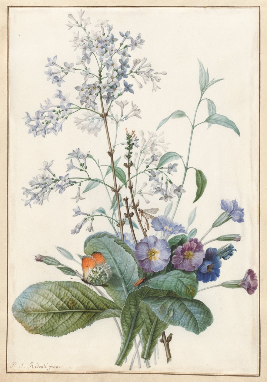 Un Bouquet di Fiori con Insetti da Pierre Joseph Redouté