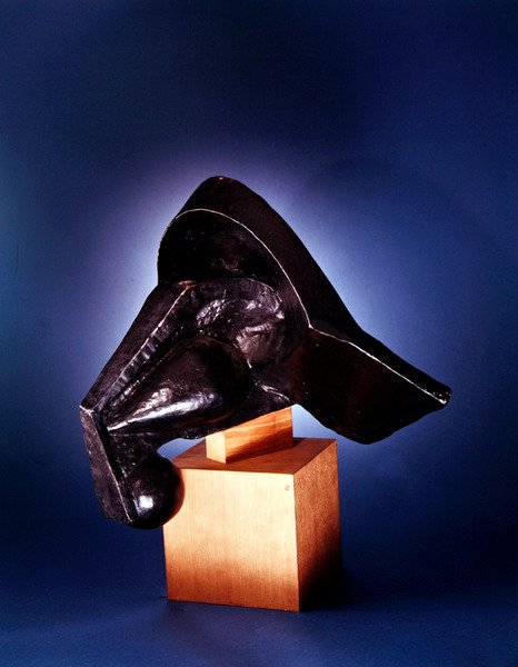 Testa di cavallo da Pierre Maurice Raymond Duchamp Villon