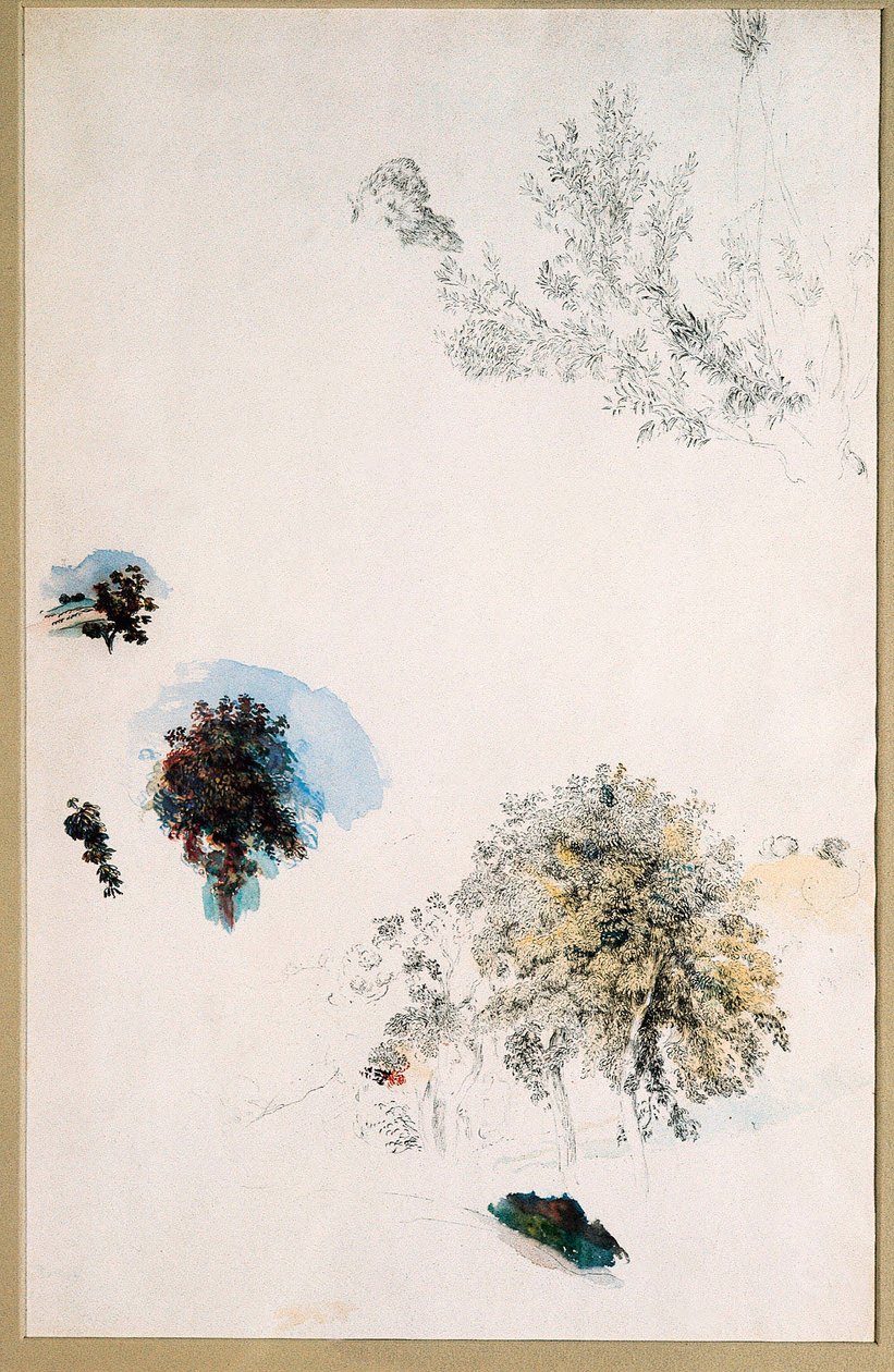 Studi di alberi da Pierre Auguste Renoir