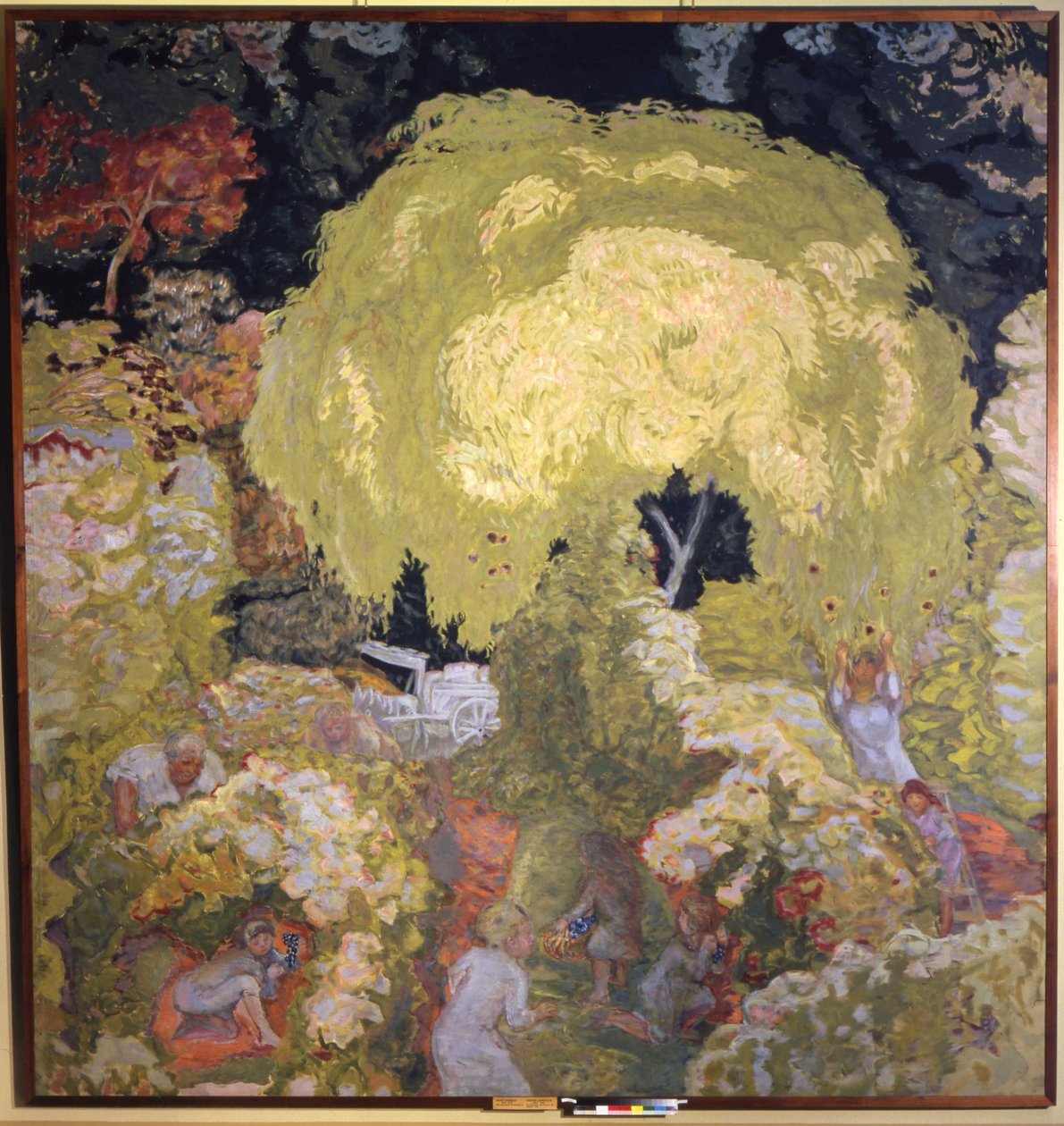 Autunno, raccolta di frutta da Pierre Bonnard