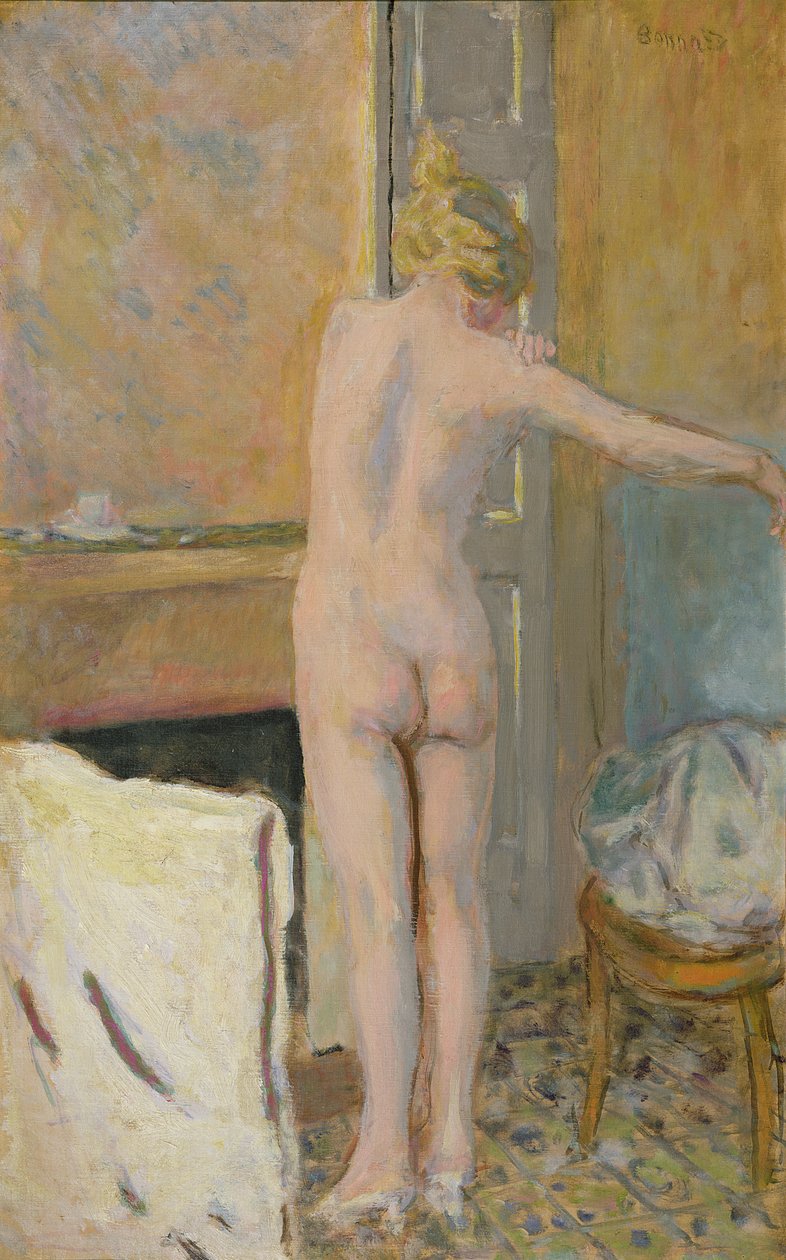 Nudo davanti a un caminetto da Pierre Bonnard