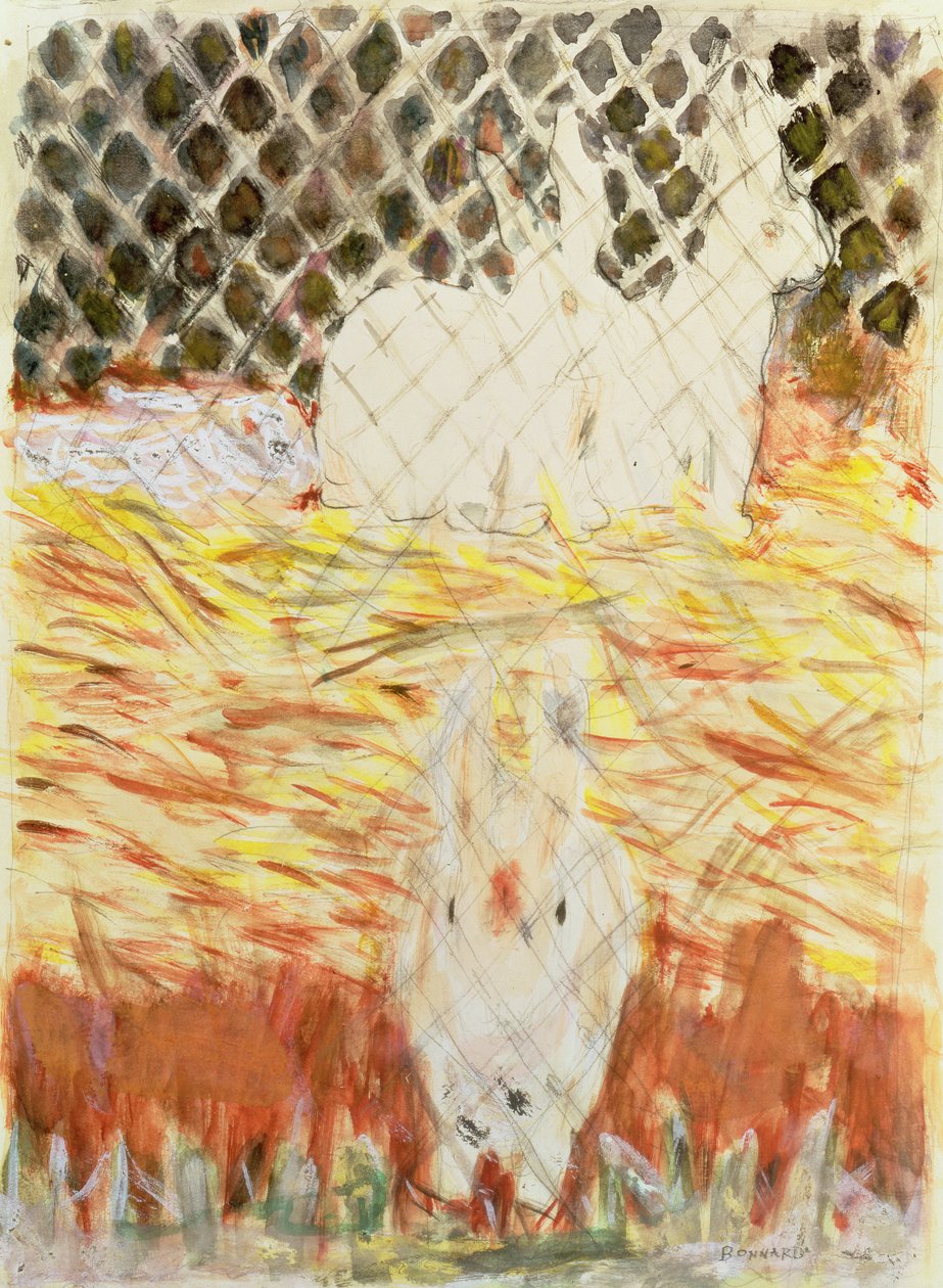 Conigli, c.1930 da Pierre Bonnard