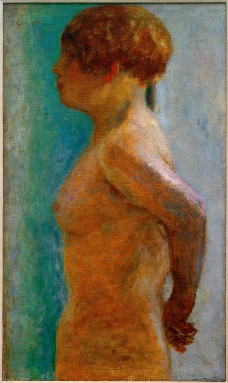 Torso di donna di profilo da Pierre Bonnard