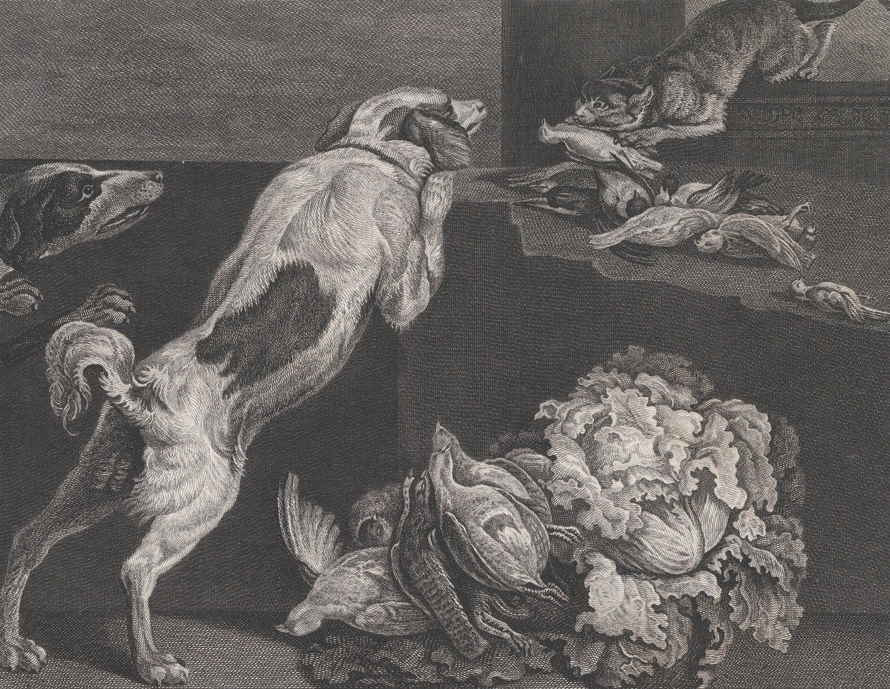 Cani e natura morta, 1778 da Pierre Charles Canot